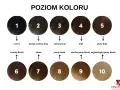 Paleta poziomów koloru włosów od czarnego (1) do najjaśniejszego blondu (10). Pomaga dobrać odpowiedni odcień i określić, ile trzymać farbę na włosach.