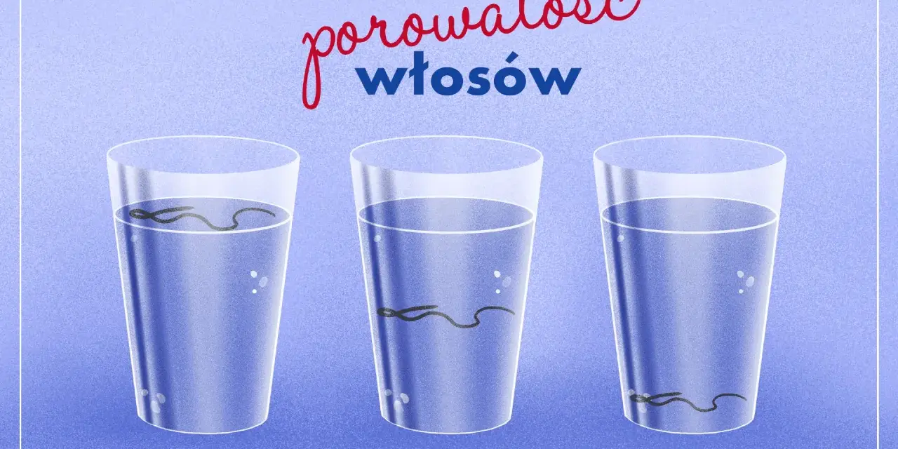 Test na porowatość włosów: włosy nisko-, średnio- i wysokoporowate w szklankach z wodą pokazują, jak szybko toną.