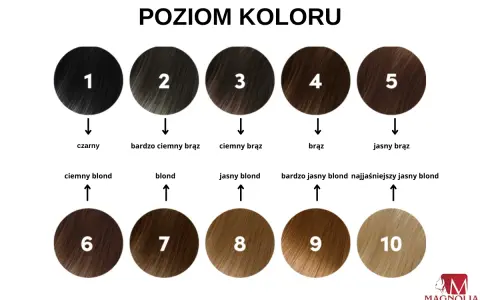Paleta poziomów koloru włosów od czarnego (1) do najjaśniejszego blondu (10). Pomaga dobrać odpowiedni odcień i określić, ile trzymać farbę na włosach.