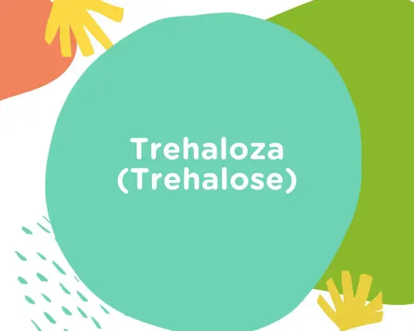 Kolorowe kształty i tekst "Trehaloza (Trehalose)". Dowiedz się, co to jest trehaloza i jakie ma właściwości.