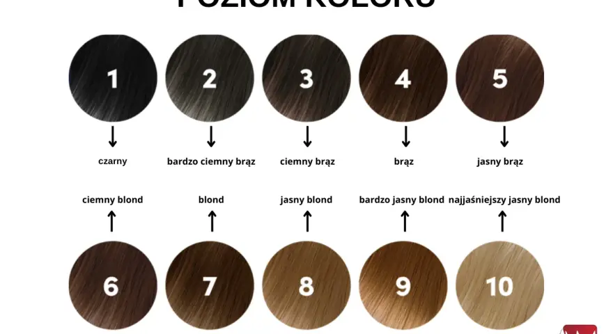 Paleta poziomów koloru włosów od czarnego (1) do najjaśniejszego blondu (10). Pomaga dobrać odpowiedni odcień i określić, ile trzymać farbę na włosach.